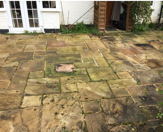 data/treatments/14thmarch (1).jpg